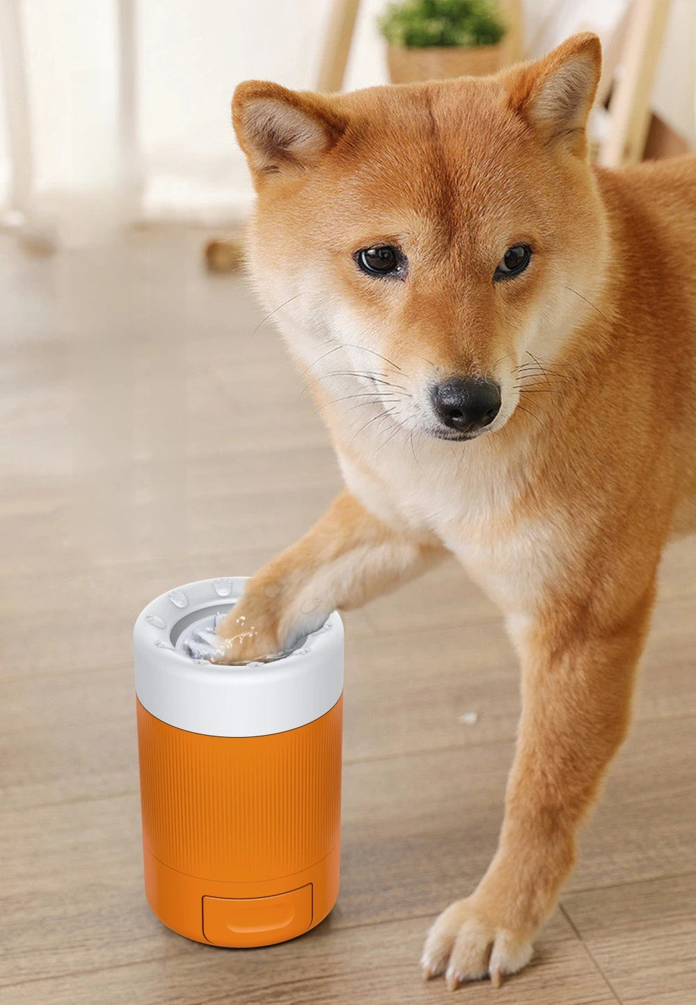 Nettoyant Pattes Automatique Chien et Chat