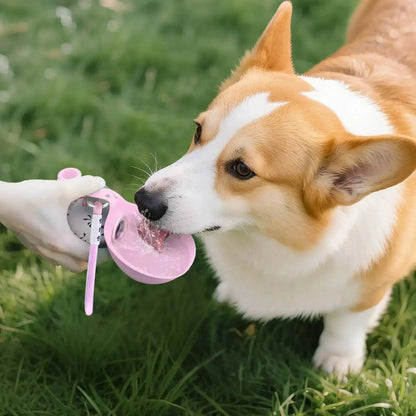 Gourde Portable pour Chien