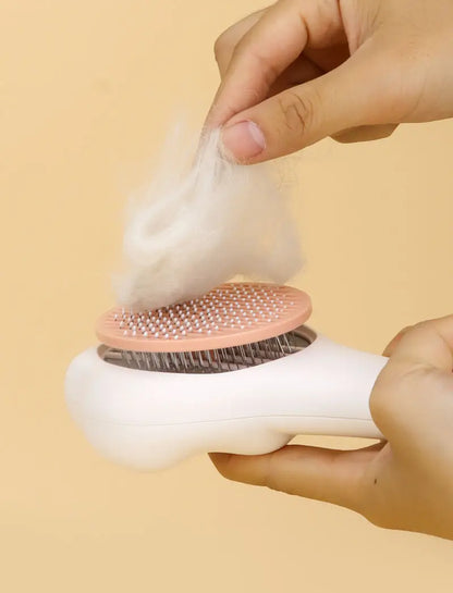 Brosse Anti-Poils Chat