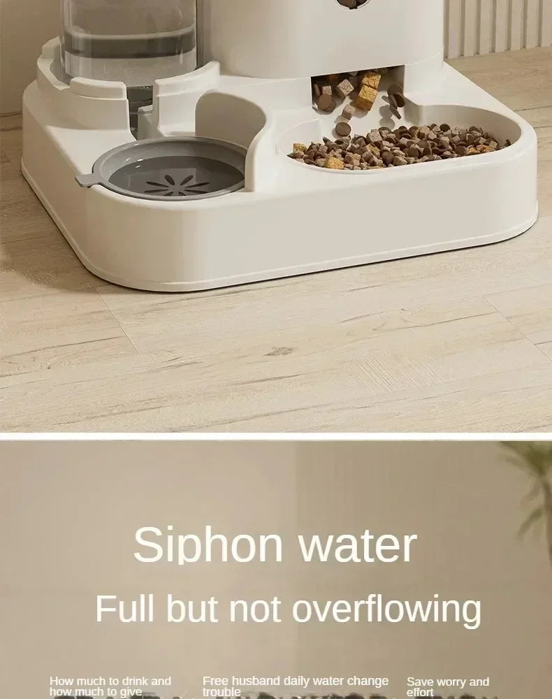 Distributeur Automatique Eau & Croquettes