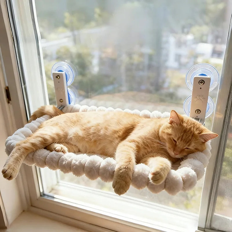 Hamac Fenêtre Chat avec Ventouses