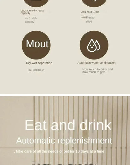 Distributeur Automatique Eau & Croquettes