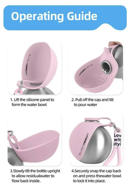 Gourde Portable pour Chien