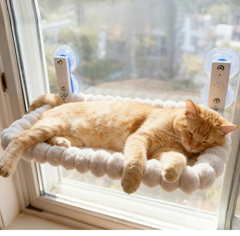 Hamac Fenêtre Chat avec Ventouses