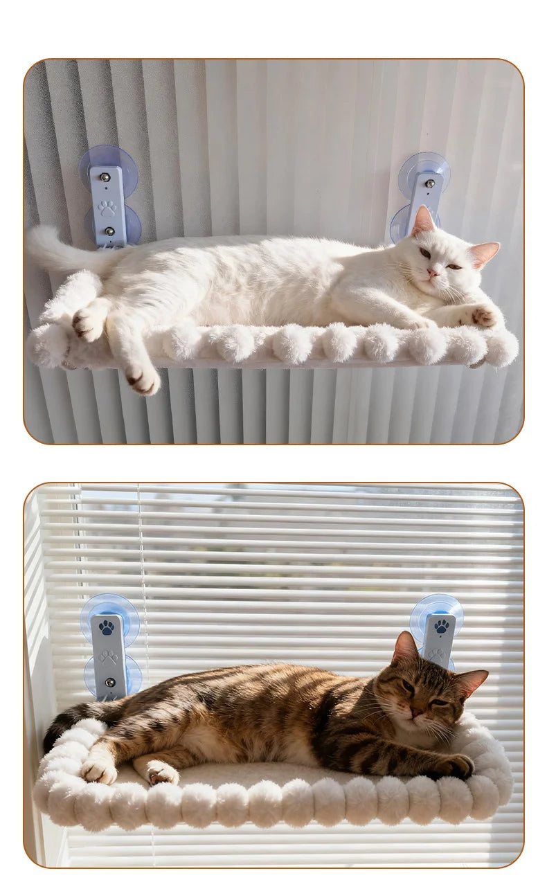 Hamac Fenêtre Chat avec Ventouses